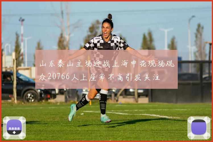山东泰山主场迎战上海申花现场观众20766人上座率不高引发关注