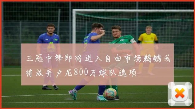 三冠中锋即将进入自由市场鹈鹕或将放弃卢尼800万球队选项